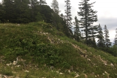 IMG-20180627-WA0008