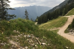 IMG-20180627-WA0010