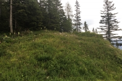 IMG-20180627-WA0012