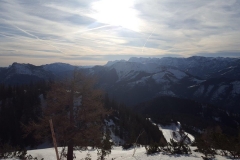 20190317_074355