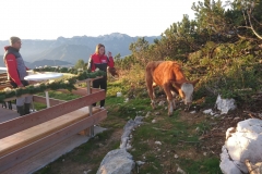 IMG-20190922-WA0006