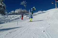 IMG-20191229-WA0011