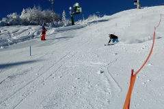 IMG-20191229-WA0012