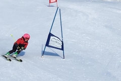 IMG-20200103-WA0011