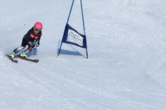 IMG-20200103-WA0015