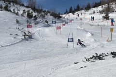 IMG-20200215-WA0022