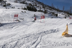 IMG-20200215-WA0071
