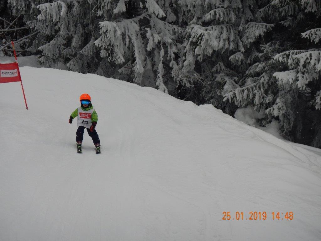 2. Zwergerlcup